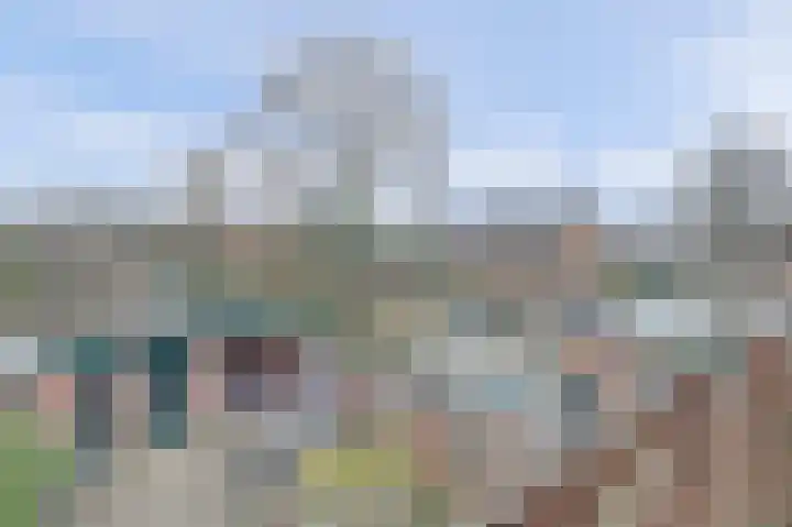 Kamperfoeliehof 33 Ermelo thumbnail 46