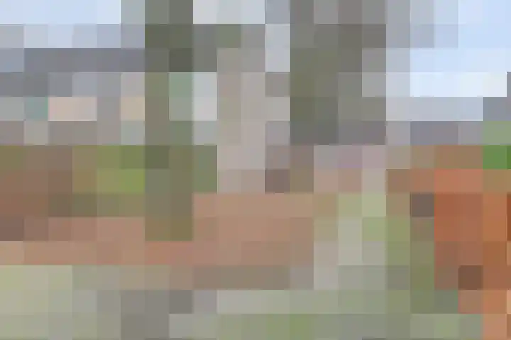 Kamperfoeliehof 33 Ermelo thumbnail 50