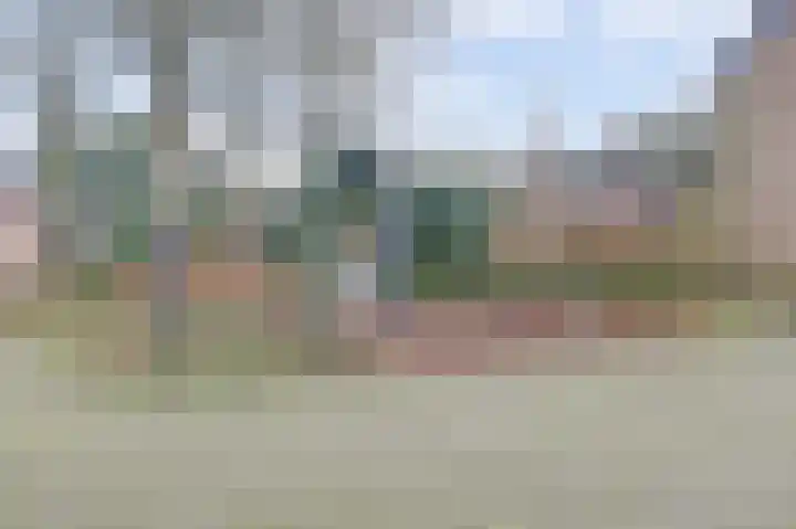Kamperfoeliehof 33 Ermelo thumbnail 51