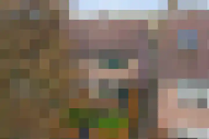 Kamperfoeliehof 33 Ermelo thumbnail 52