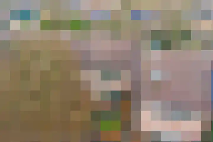 Kamperfoeliehof 33 Ermelo thumbnail 53