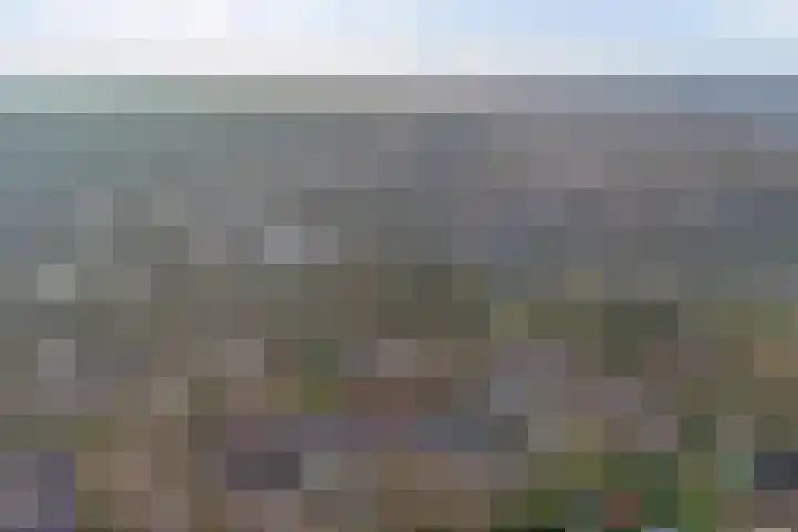 Kamperfoeliehof 33 Ermelo thumbnail 56