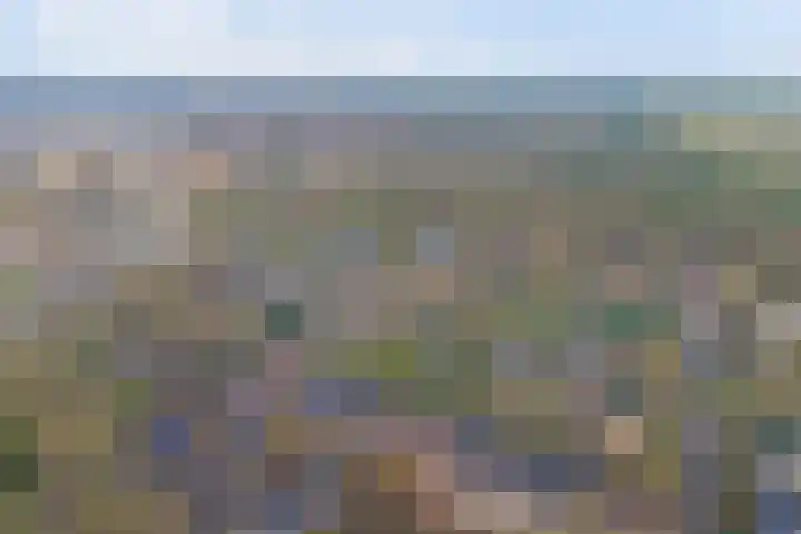 Kamperfoeliehof 33 Ermelo thumbnail 57