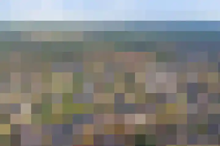 Kamperfoeliehof 33 Ermelo thumbnail 58