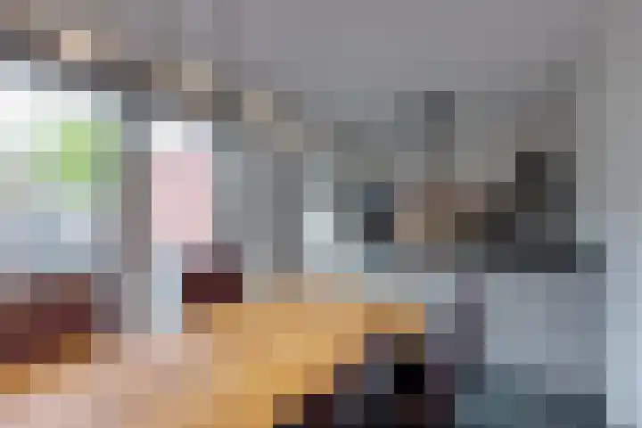 Kamperfoeliehof 5 A Beilen thumbnail 10