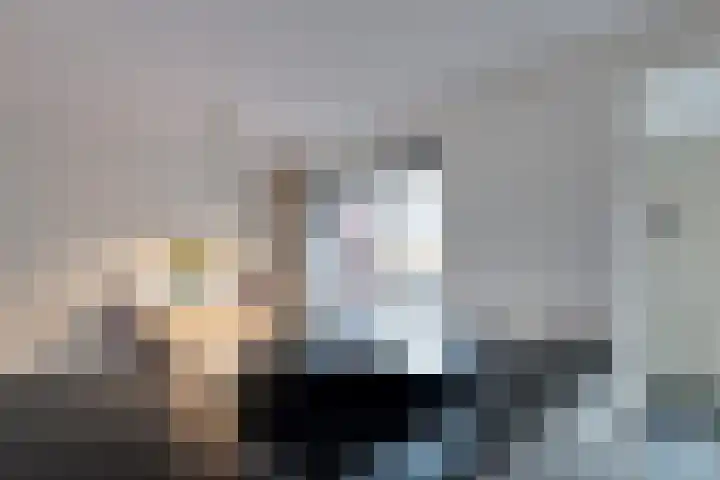 Kamperfoeliehof 5 A Beilen thumbnail 12