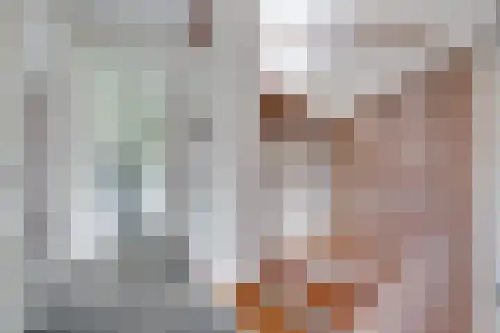 Kamperfoeliehof 5 A Beilen thumbnail 18