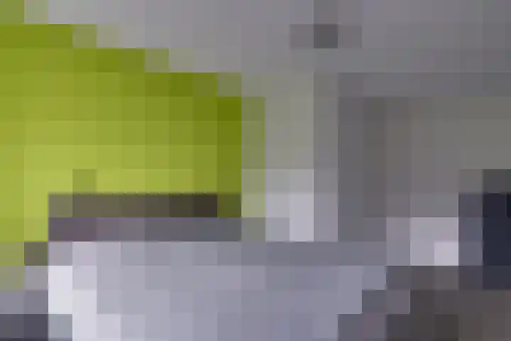 Kamperfoeliehof 5 A Beilen thumbnail 22