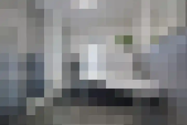 Kamperfoeliehof 5 A Beilen thumbnail 25