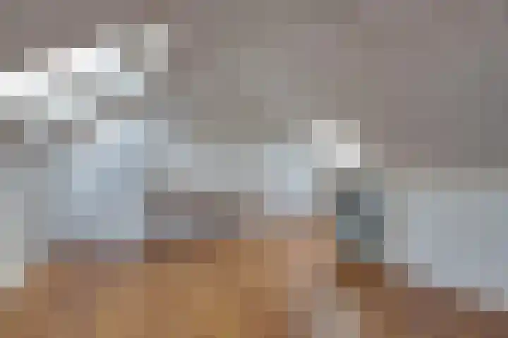 Kamperfoeliehof 5 A Beilen thumbnail 28