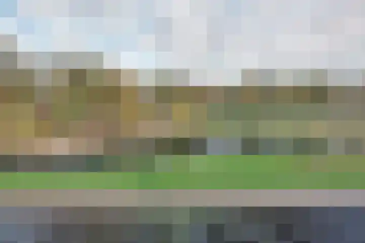 Kamperfoeliehof 5 A Beilen thumbnail 30