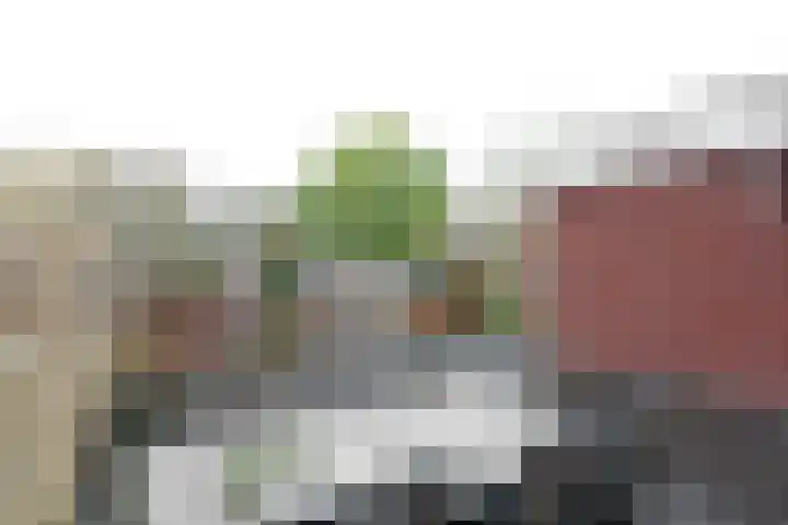 Kamperfoeliehof 5 A Beilen thumbnail 31