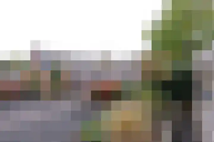 Kamperfoeliehof 5 A Beilen thumbnail 32