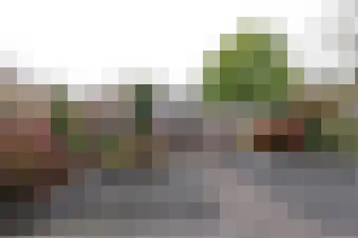 Kamperfoeliehof 5 A Beilen thumbnail 35