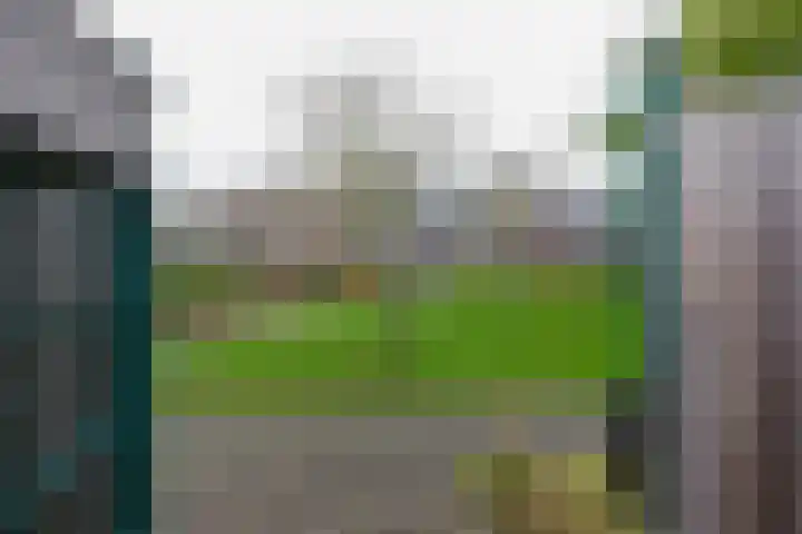 Kamperfoeliehof 5 A Beilen thumbnail 36