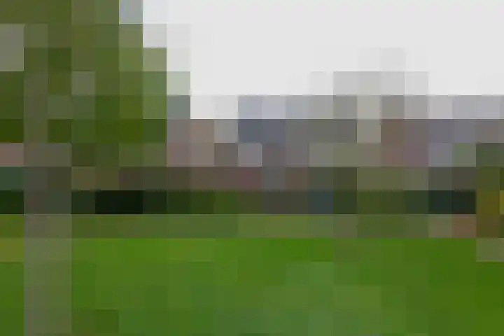 Kamperfoeliehof 5 A Beilen thumbnail 37