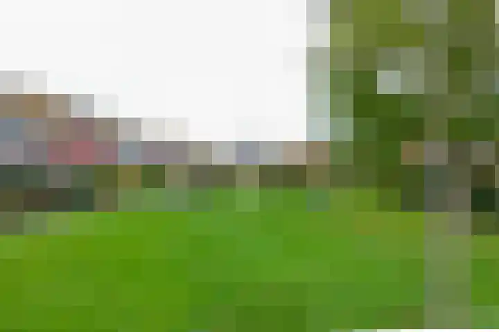 Kamperfoeliehof 5 A Beilen thumbnail 38