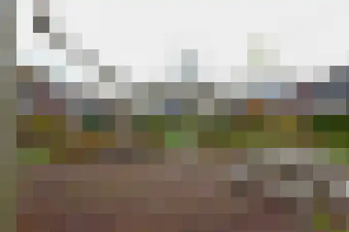 Kamperfoeliehof 5 A Beilen thumbnail 39