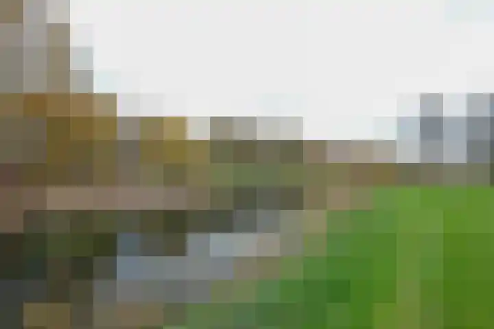 Kamperfoeliehof 5 A Beilen thumbnail 4