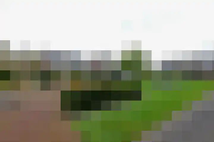 Kamperfoeliehof 5 A Beilen thumbnail 40