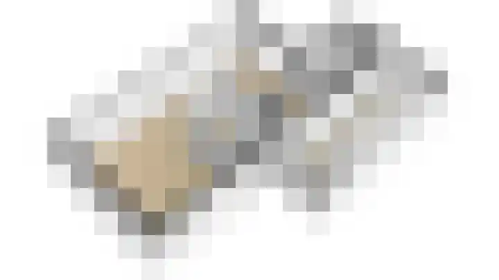 Kamperfoeliehof 5 A Beilen thumbnail 42