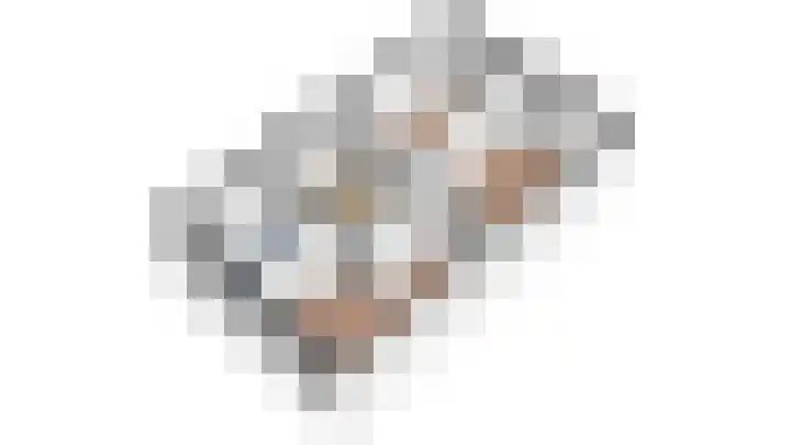 Kamperfoeliehof 5 A Beilen thumbnail 44