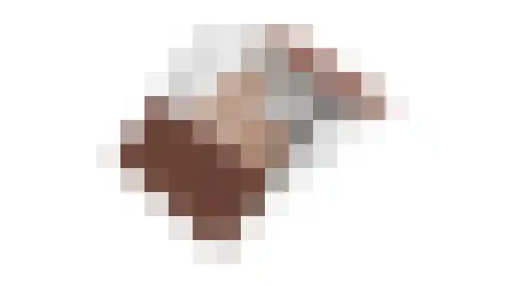 Kamperfoeliehof 5 A Beilen thumbnail 46