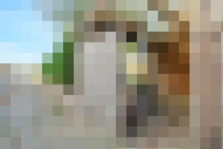 Kamperfoelielaan 2 Wageningen thumbnail 31