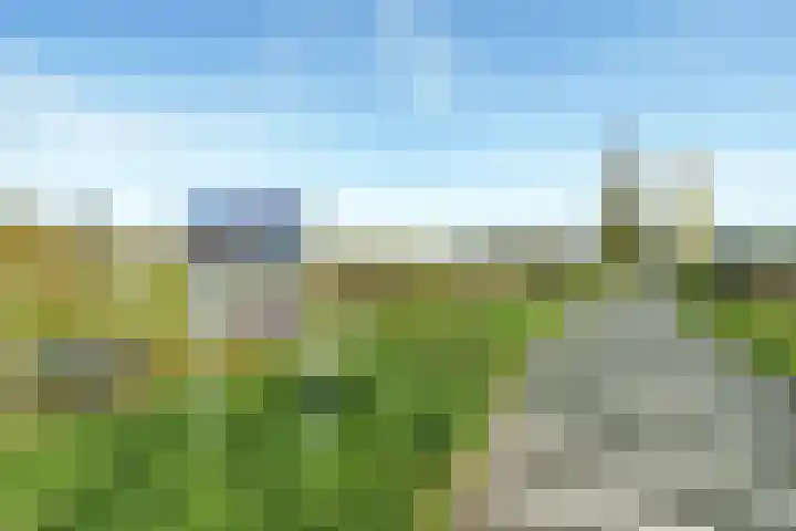 Kamperfoelielaan 2 Wageningen thumbnail 32