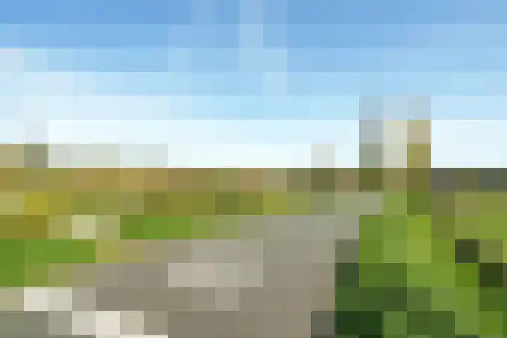 Kamperfoelielaan 2 Wageningen thumbnail 33