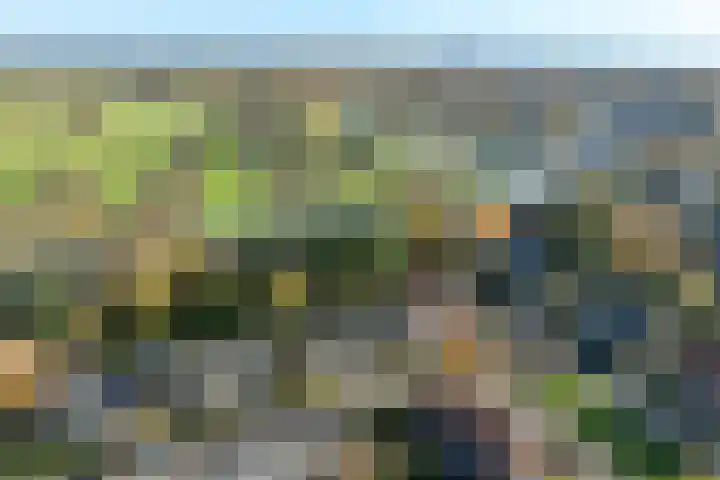 Kamperfoelielaan 2 Wageningen thumbnail 35