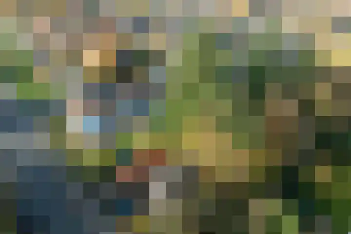 Kamperfoelielaan 2 Wageningen thumbnail 37