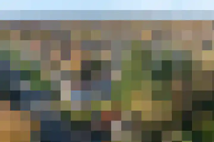 Kamperfoelielaan 2 Wageningen thumbnail 38