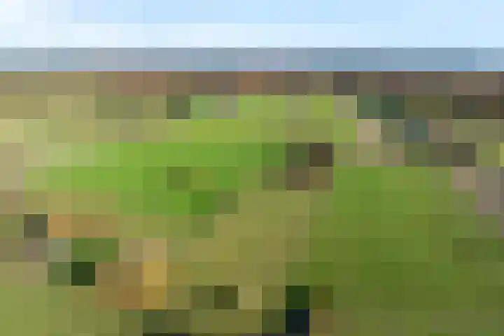 Kamperfoelielaan 2 Wageningen thumbnail 40