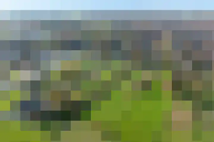 Kamperfoelielaan 2 Wageningen thumbnail 41