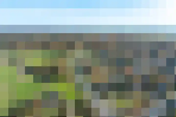 Kamperfoelielaan 2 Wageningen thumbnail 42