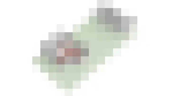 Kamperfoelielaan 2 Wageningen thumbnail 50