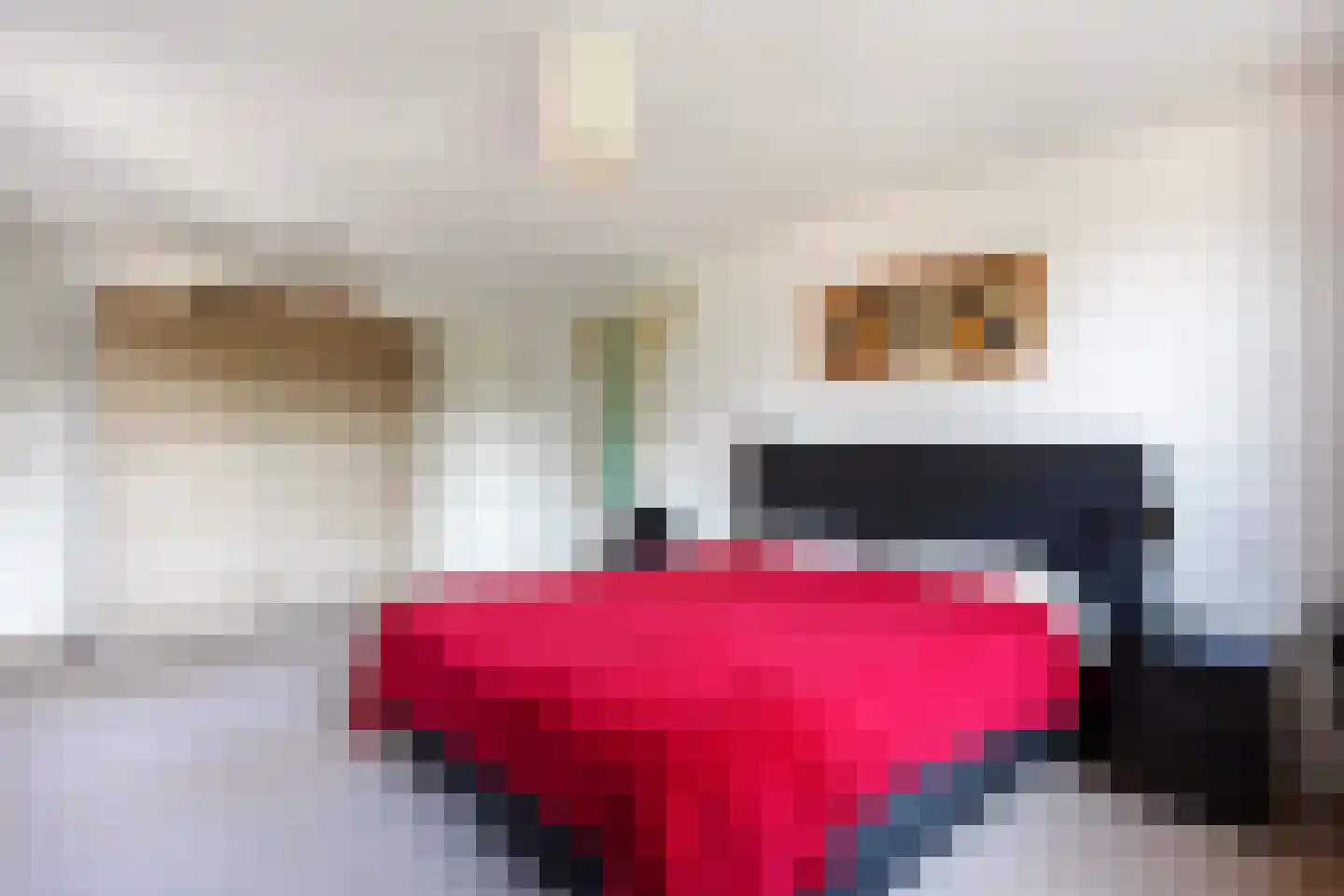 Kamperfoelielaan 3 Marum thumbnail 24