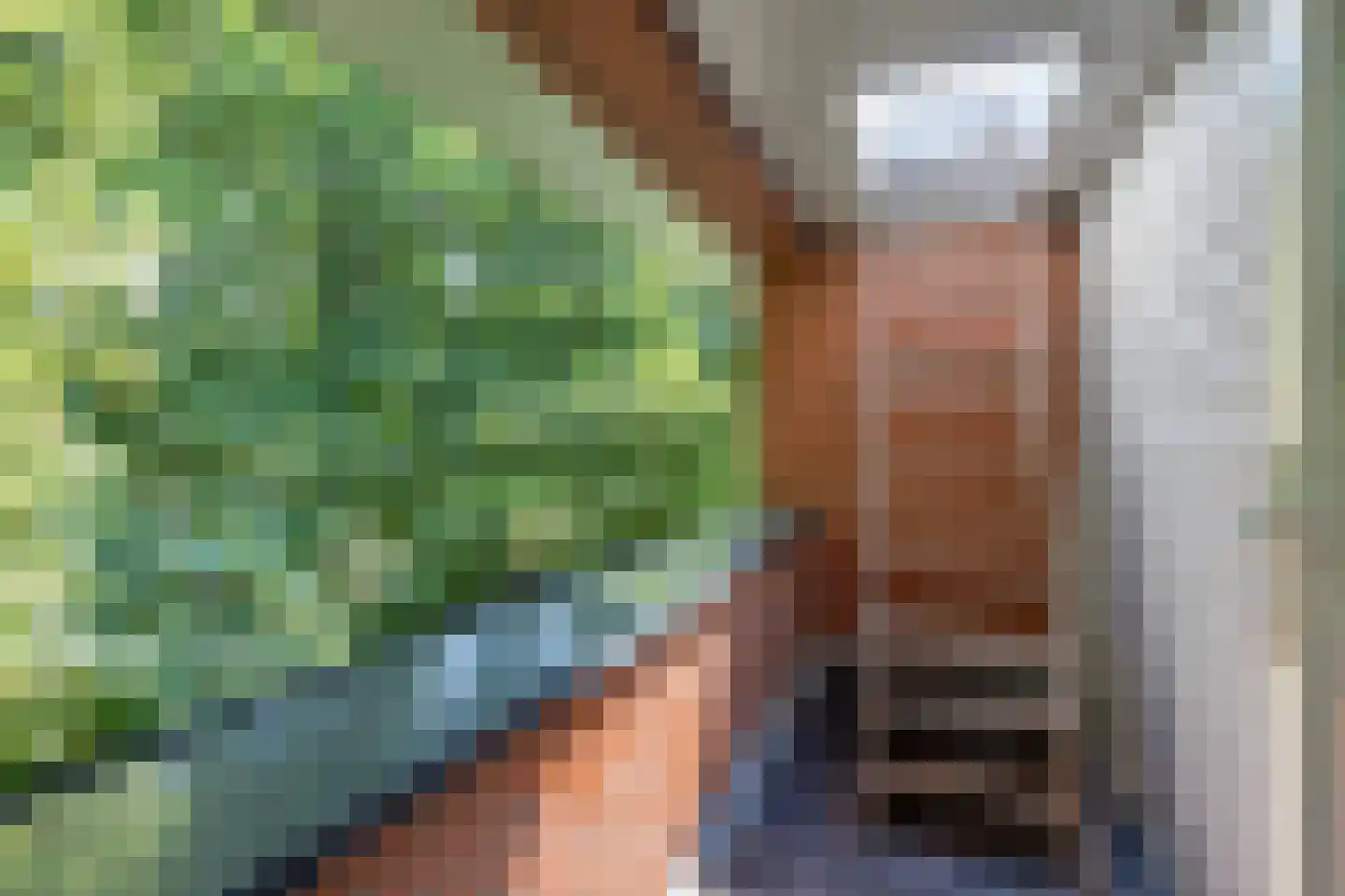 Kamperfoelielaan 3 Marum thumbnail 31