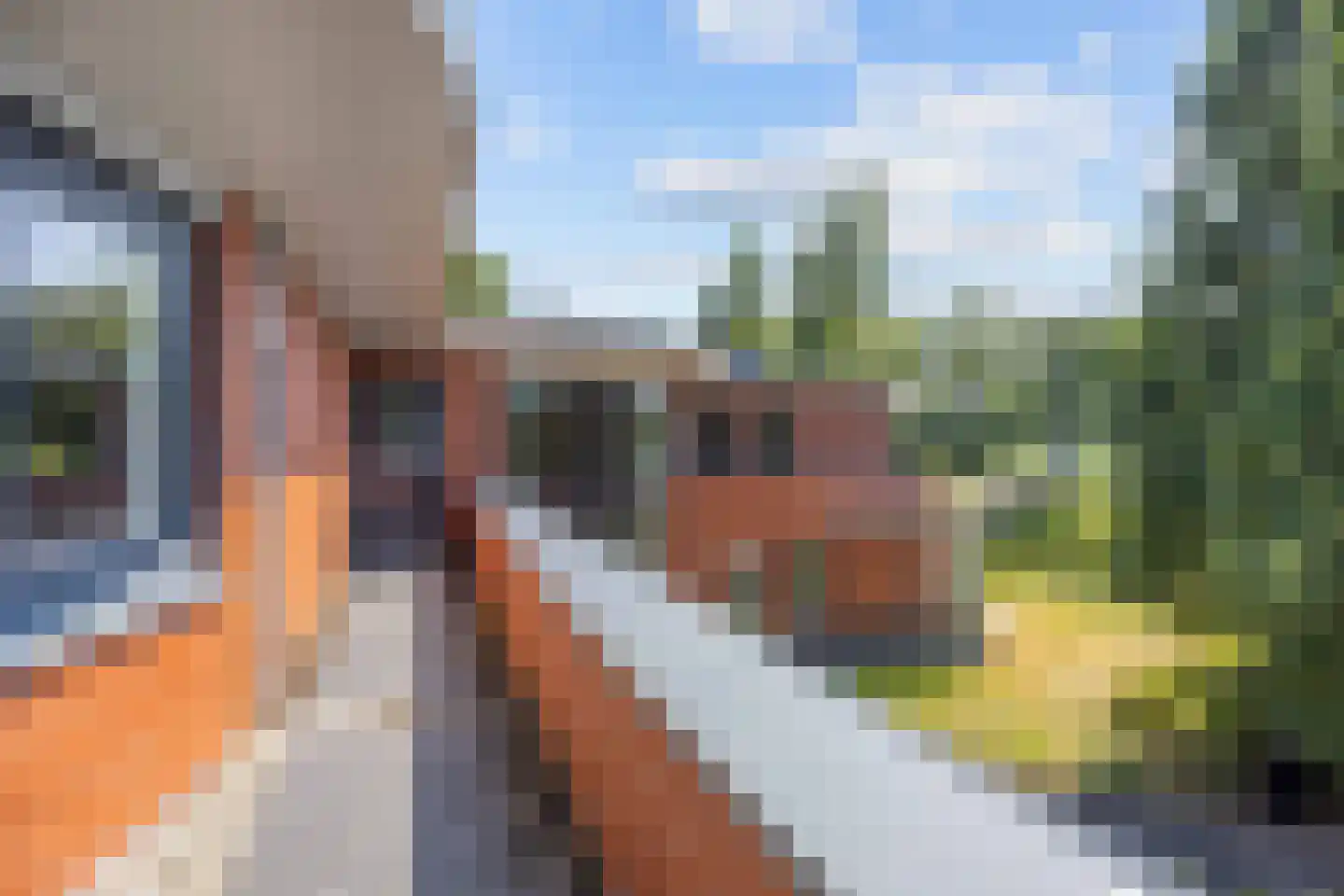 Kamperfoelielaan 3 Marum thumbnail 34