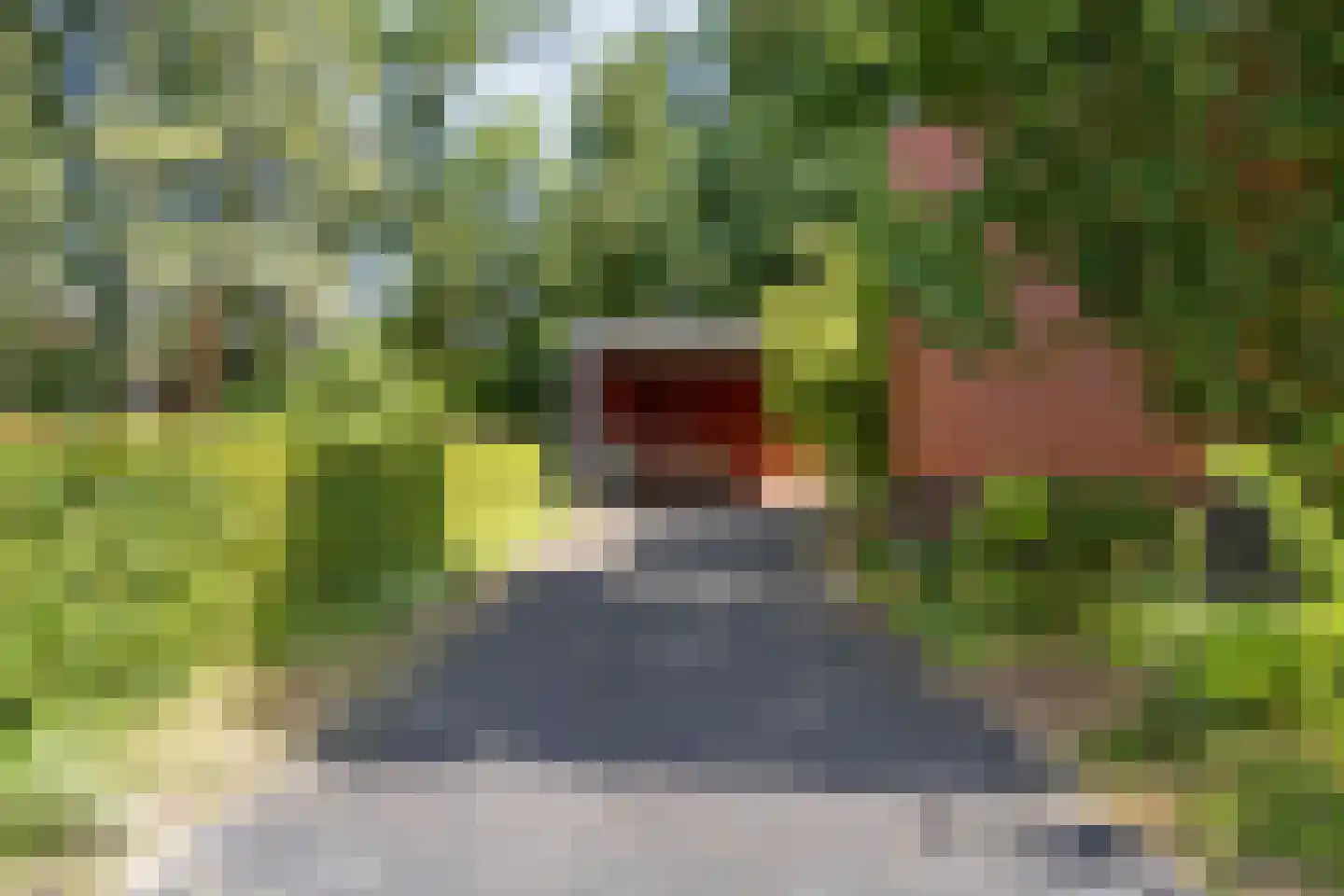 Kamperfoelielaan 3 Marum thumbnail 43