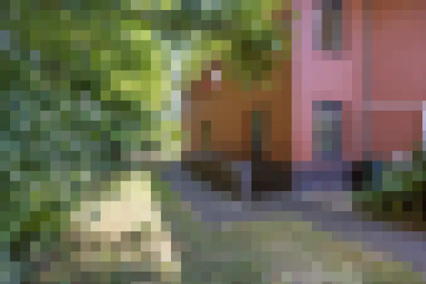Kamperfoelielaan 3 Marum thumbnail 47