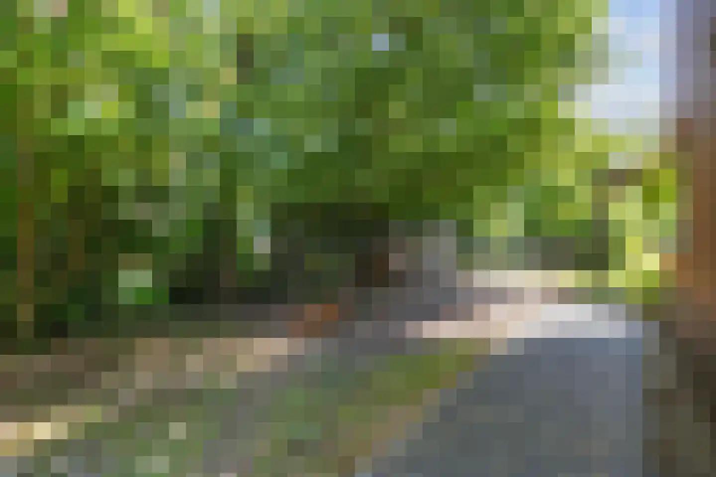 Kamperfoelielaan 3 Marum thumbnail 48