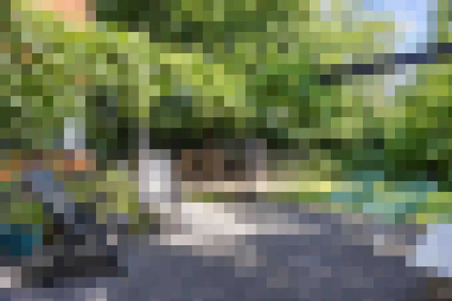 Kamperfoelielaan 3 Marum thumbnail 50
