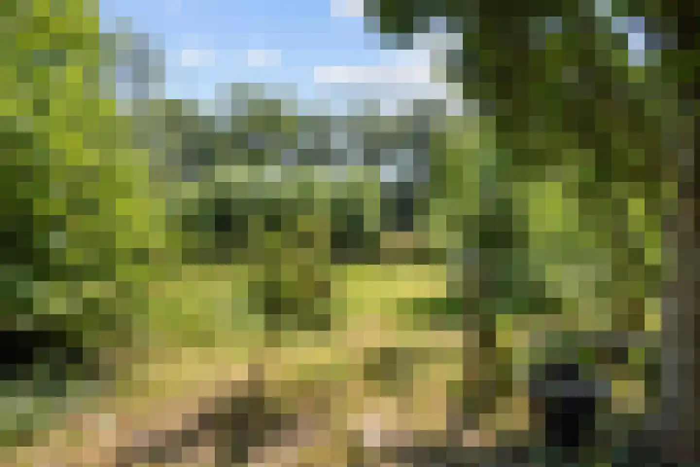 Kamperfoelielaan 3 Marum thumbnail 56