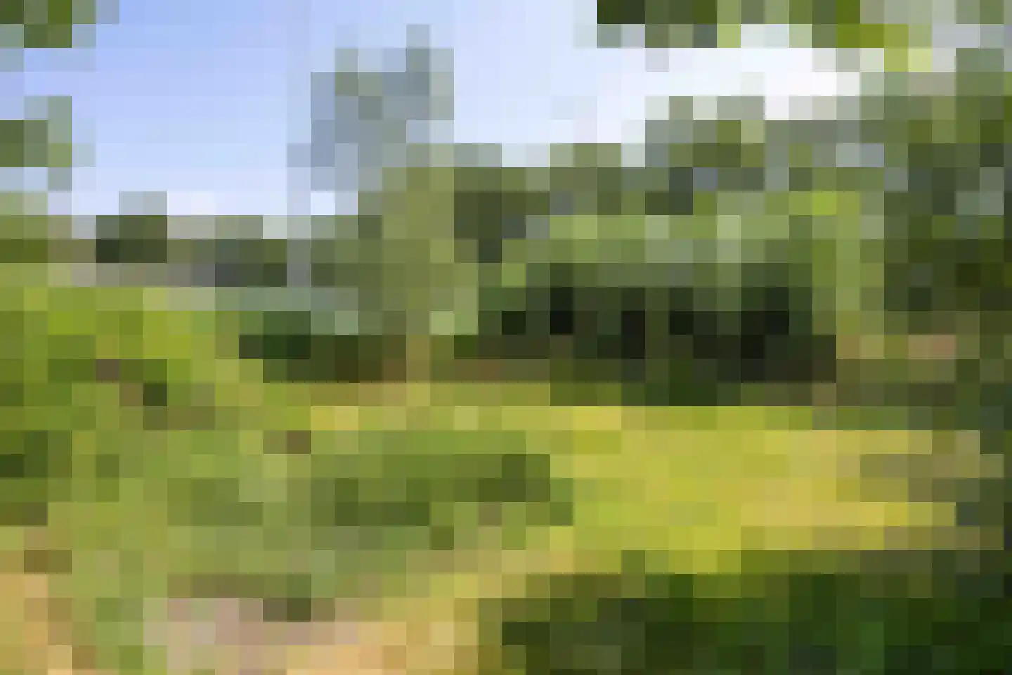 Kamperfoelielaan 3 Marum thumbnail 57
