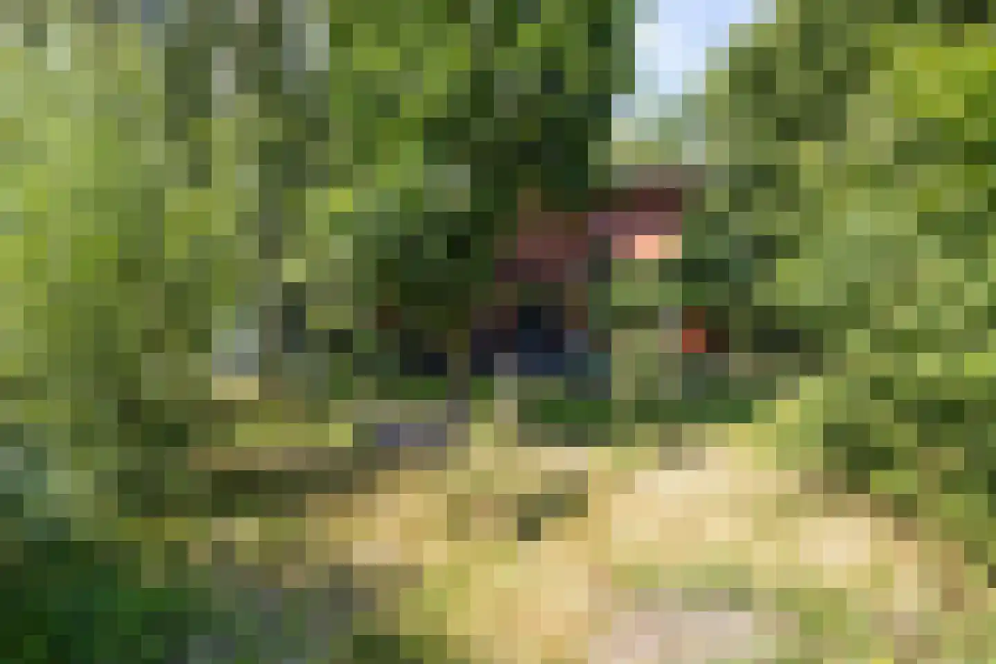 Kamperfoelielaan 3 Marum thumbnail 58