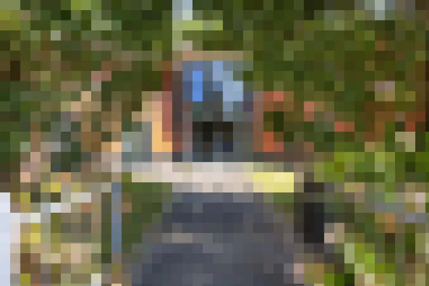Kamperfoelielaan 3 Marum thumbnail 6