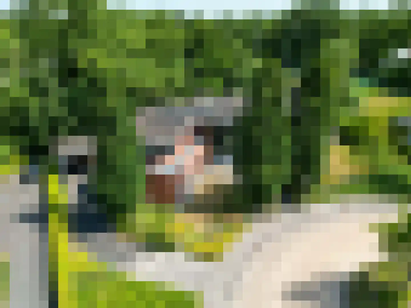 Kamperfoelielaan 3 Marum thumbnail 61