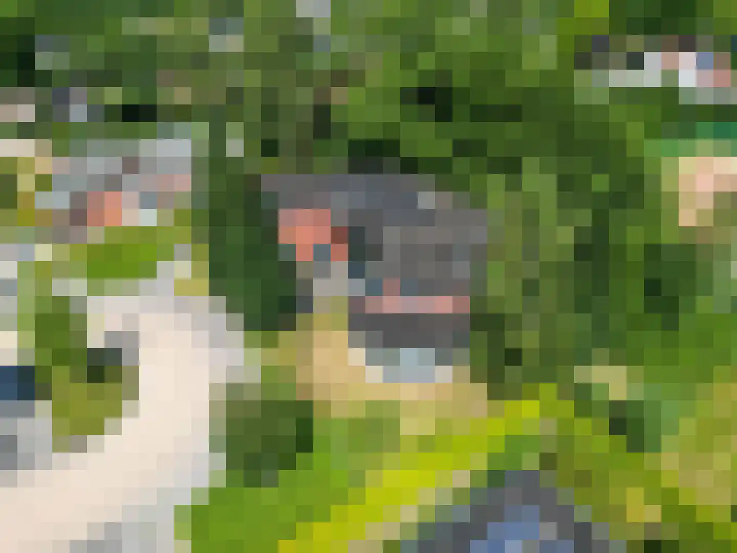 Kamperfoelielaan 3 Marum thumbnail 63